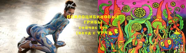 СК Надым