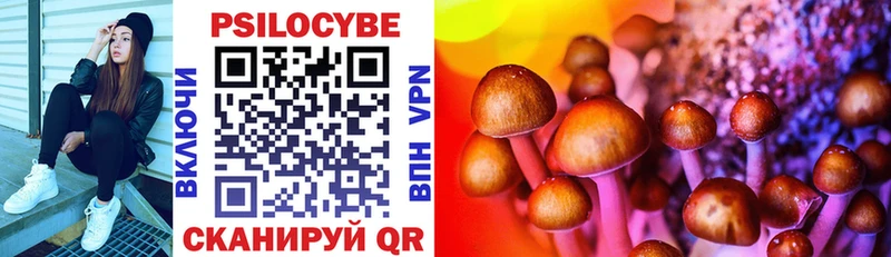 Псилоцибиновые грибы Cubensis  блэк спрут как зайти  Харабали 